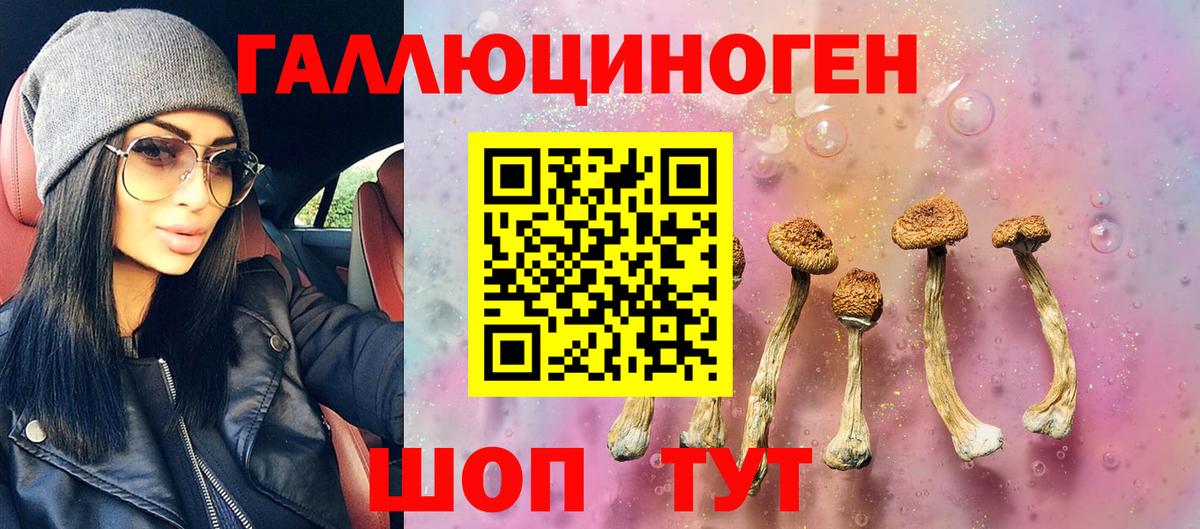 Похвистнево  Галлюциногенные грибы прущие грибы  Вход с VPN 
